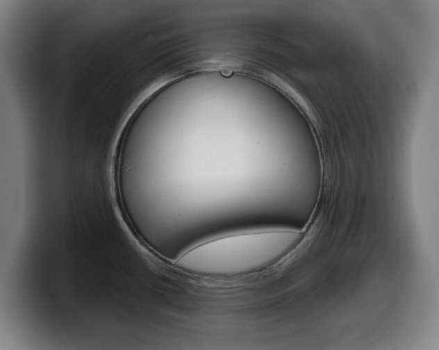 X0000099501434200805150940