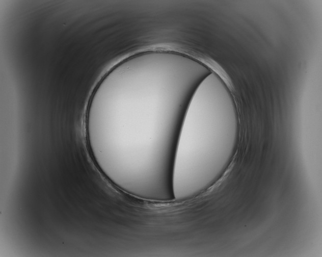 X0000099501436200805150940