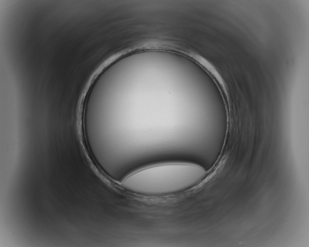 X0000099501437200805150940