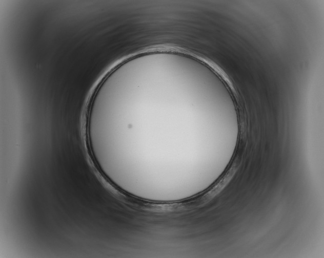 X0000099501438200805150940