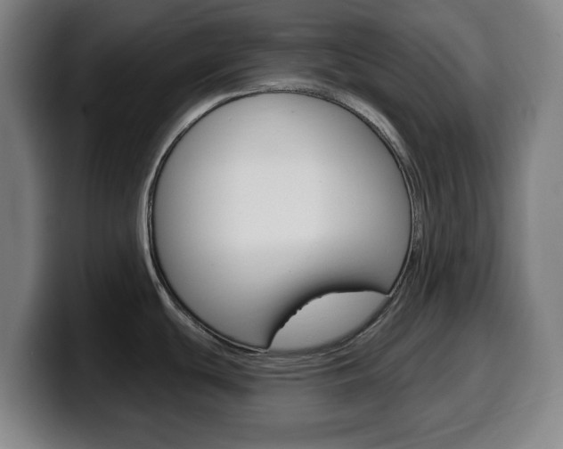 X0000099501439200805150940