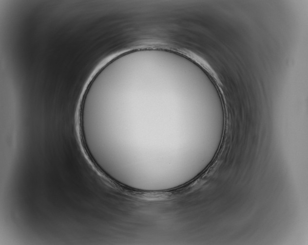 X0000099501440200805150940