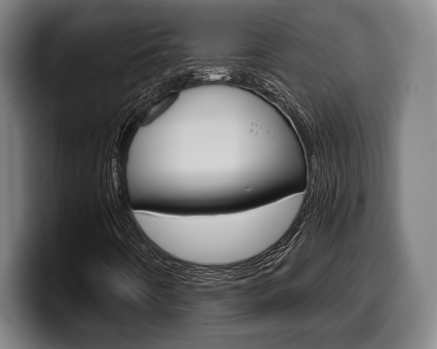 X0000099501442200805150939