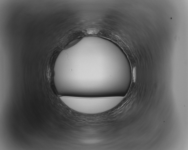 X0000099501443200805150939