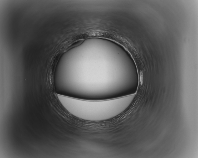 X0000099501444200805150939