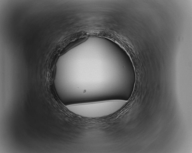 X0000099501445200805150939