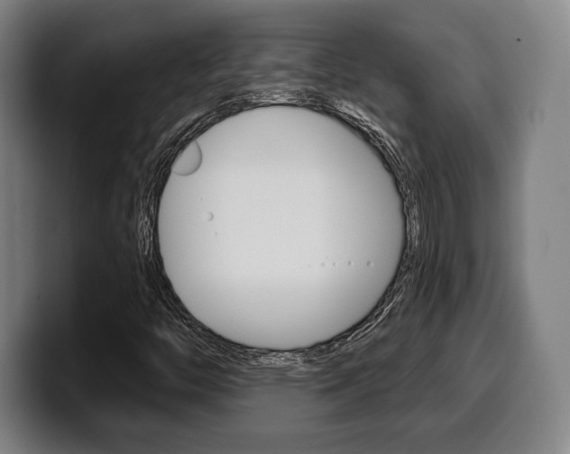 X0000099501446200805150939