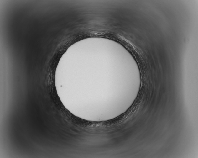 X0000099501447200805150939