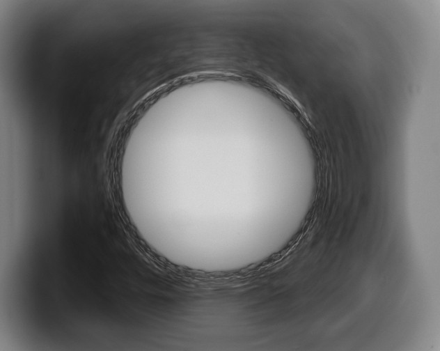 X0000099501448200805150939