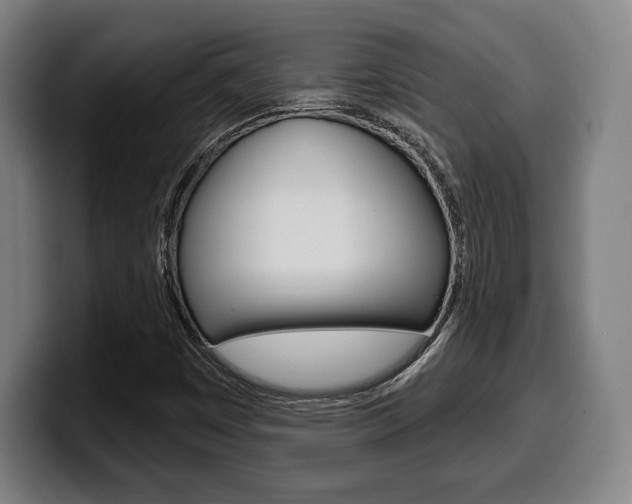X0000099501449200805150939