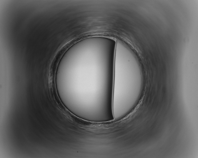 X0000099501450200805150939