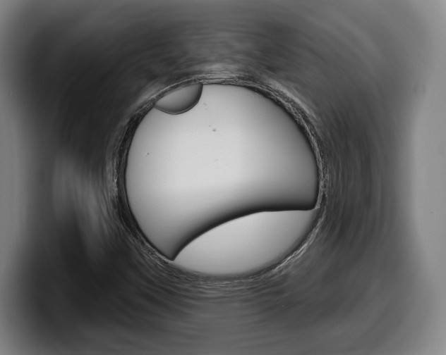 X0000099501451200805150939
