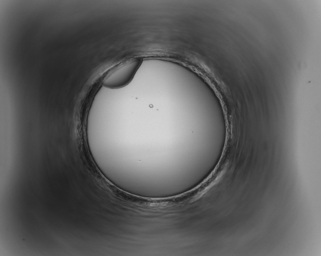 X0000099501453200805150939