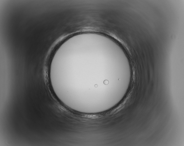 X0000099501454200805150939