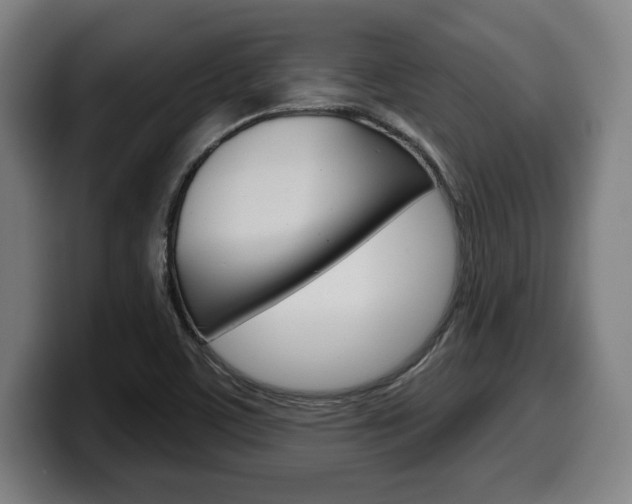 X0000099501459200805150939