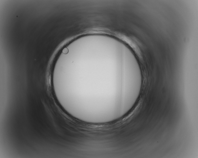 X0000099501462200805150939