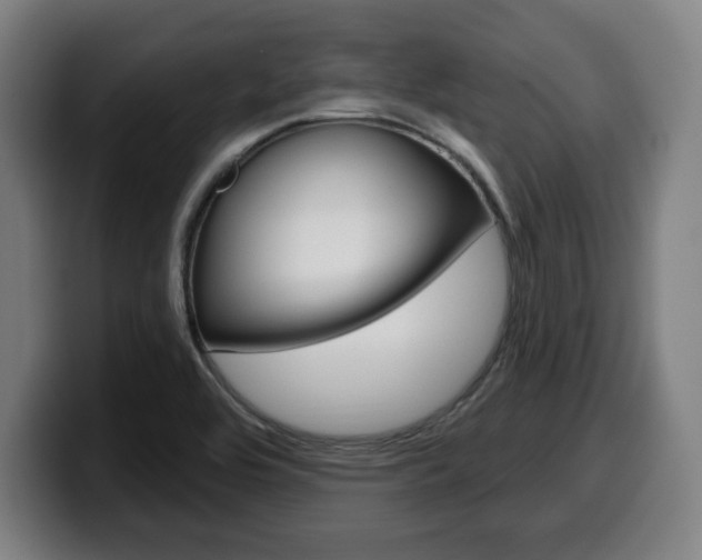 X0000099501464200805150939
