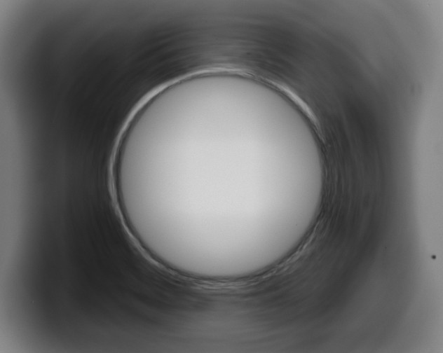 X0000099501468200805150939