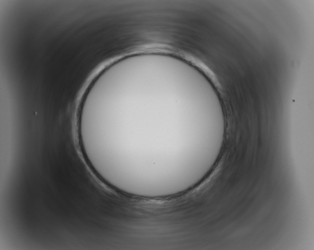 X0000099501470200805150939