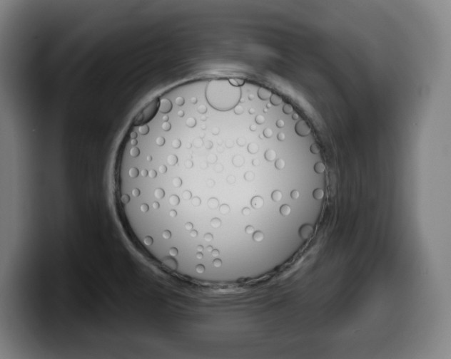 X0000099501471200805150939