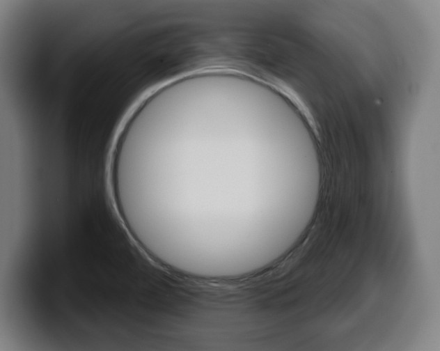 X0000099501472200805150939