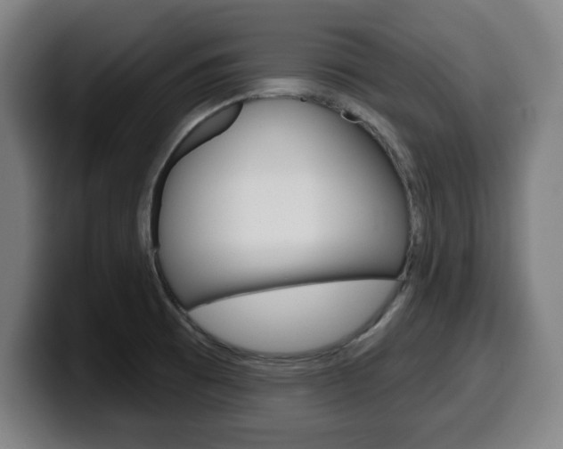 X0000099501473200805150939