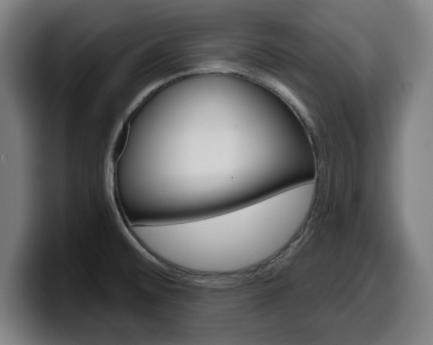X0000099501476200805150939