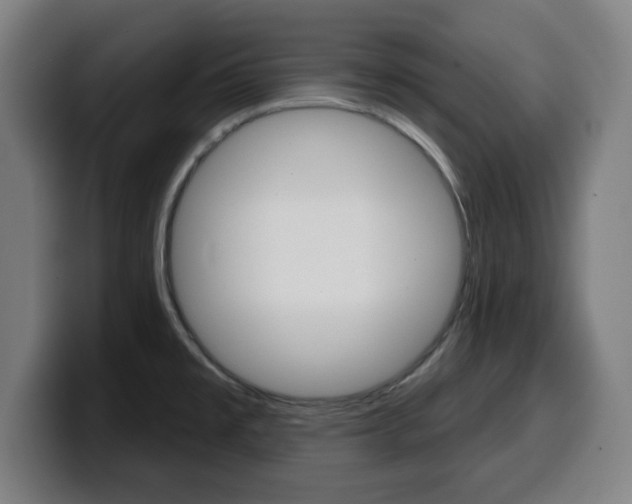 X0000099501477200805150939