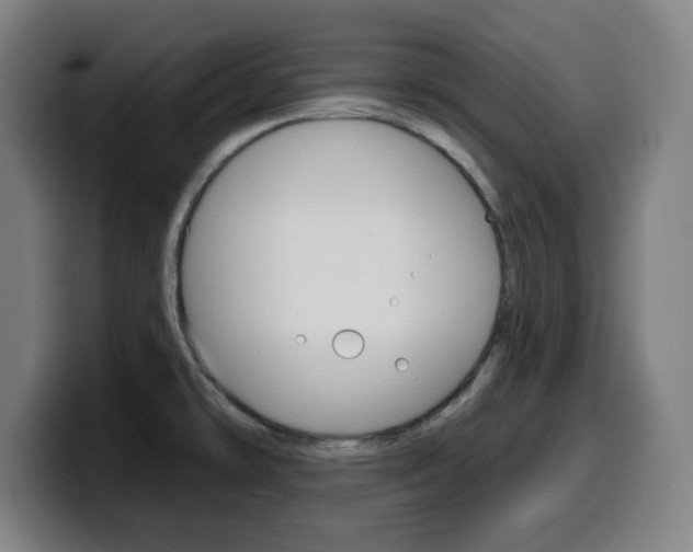 X0000099501478200805150939