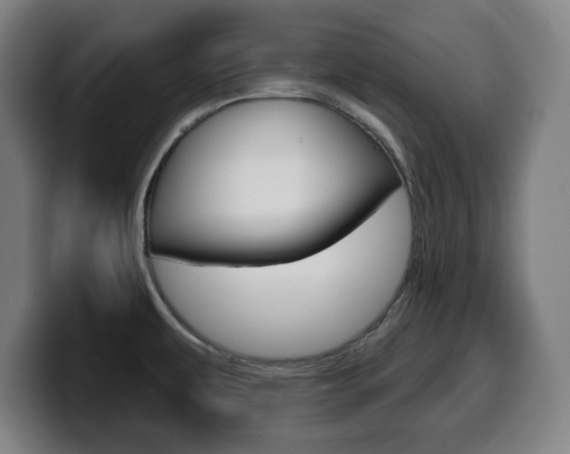 X0000099501479200805150939