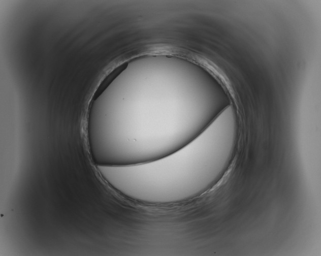 X0000099501481200805150939