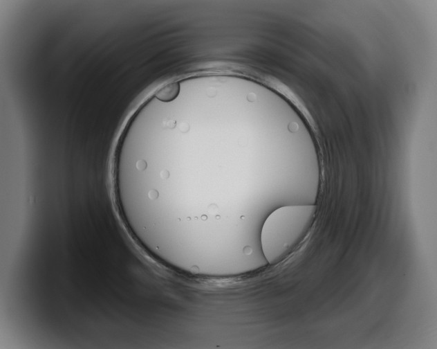X0000099501482200805150939