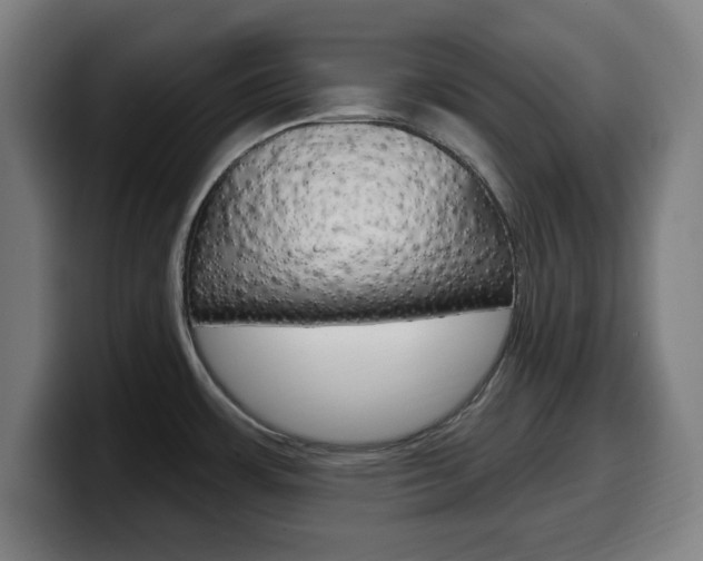 X0000099501483200805150939