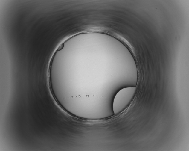 X0000099501487200805150939