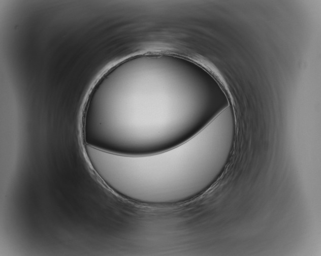 X0000099501488200805150939