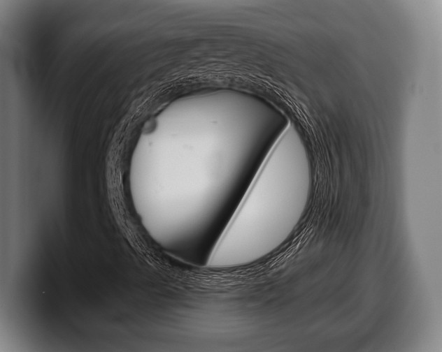 X0000099501489200805150938