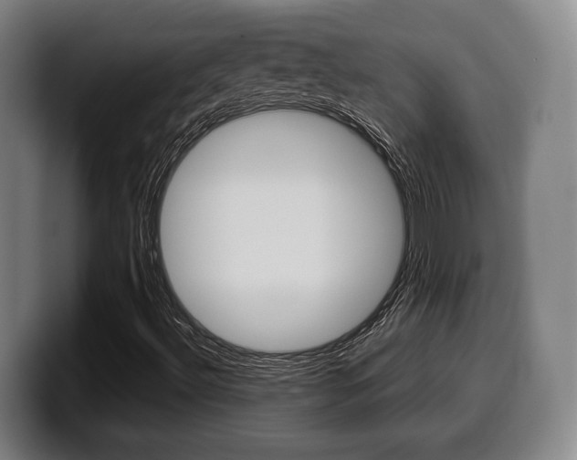 X0000099501492200805150938