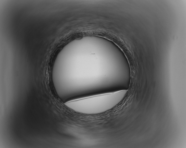 X0000099501493200805150938