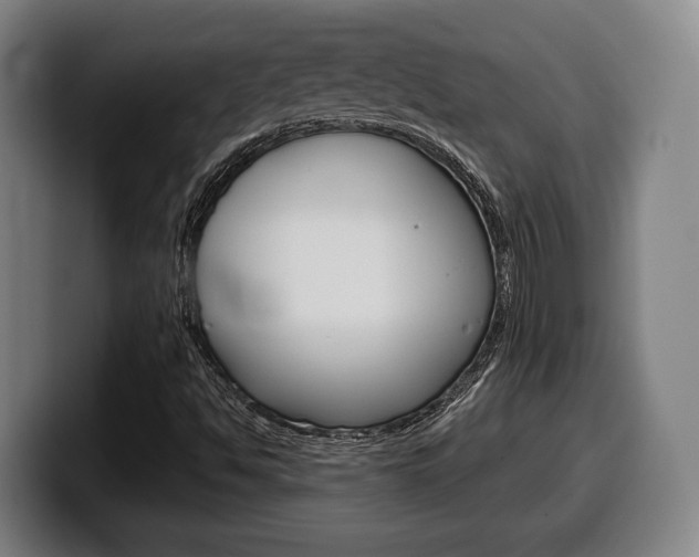 X0000099501494200805150938