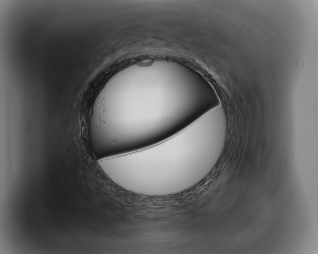 X0000099501495200805150938