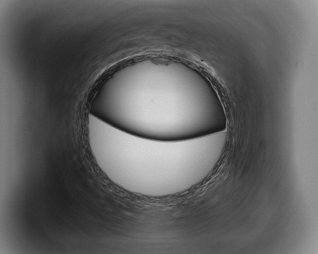 X0000099501496200805150938