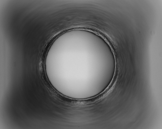 X0000099501497200805150938