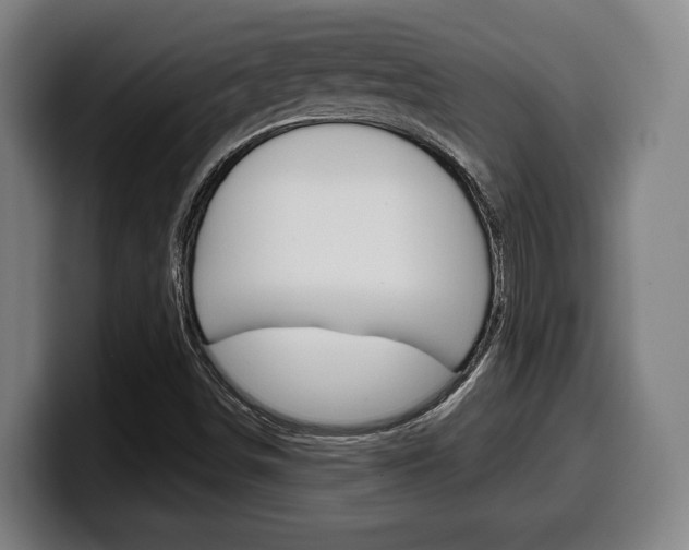 X0000099501498200805150938