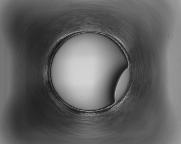 X0000099501499200805150938