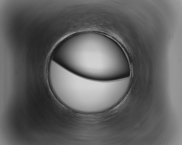 X0000099501500200805150938