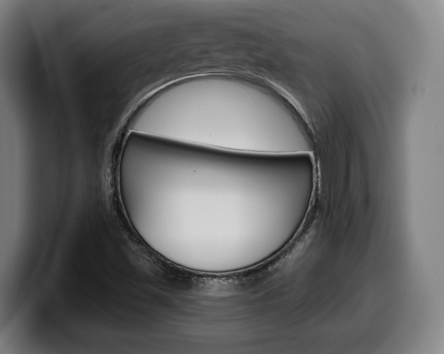 X0000099501501200805150938