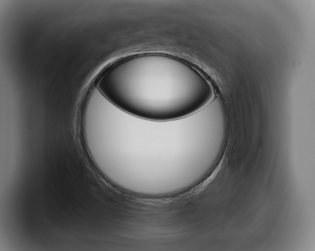 X0000099501502200805150938