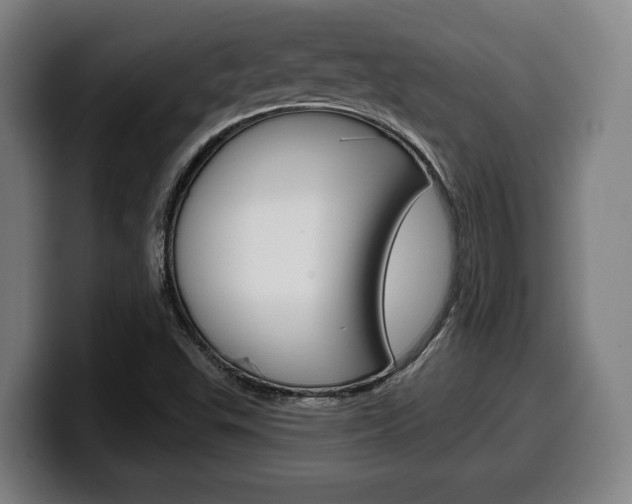 X0000099501503200805150938