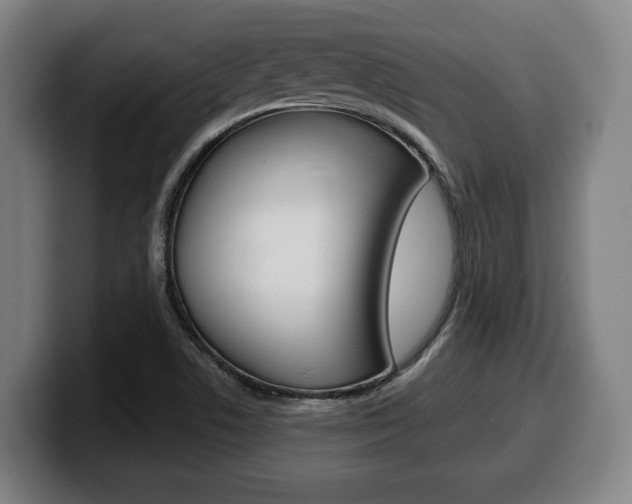 X0000099501506200805150938