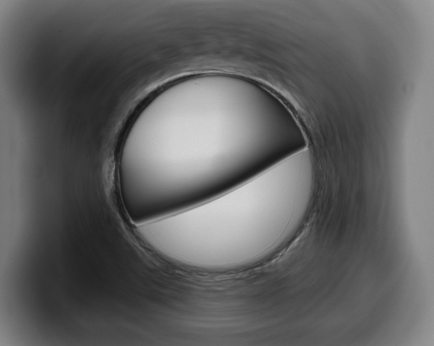 X0000099501507200805150938